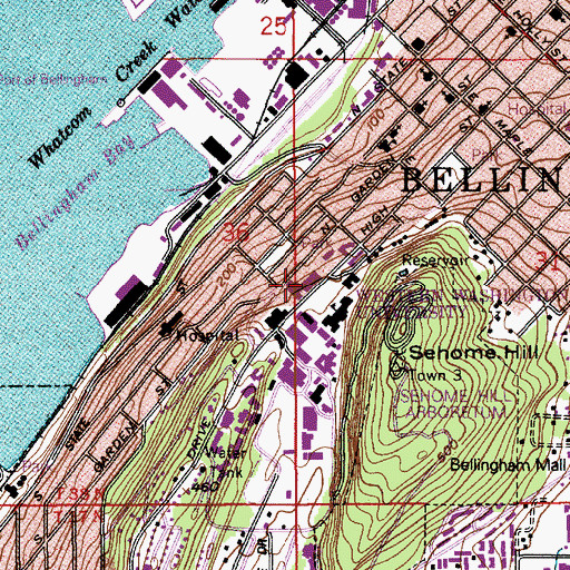 Topographic Map of Western Washington University Vikings Commons, WA