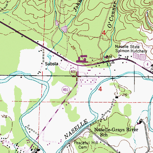 Topographic Map of Naselle Volunteer Fire Department, WA
