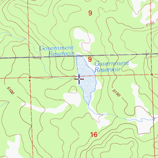 Topographic Map of Government Reservoir, CA