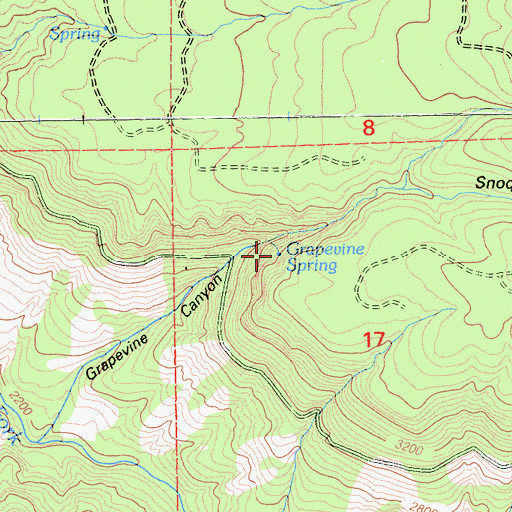 Topographic Map of Grapevine Spring, CA