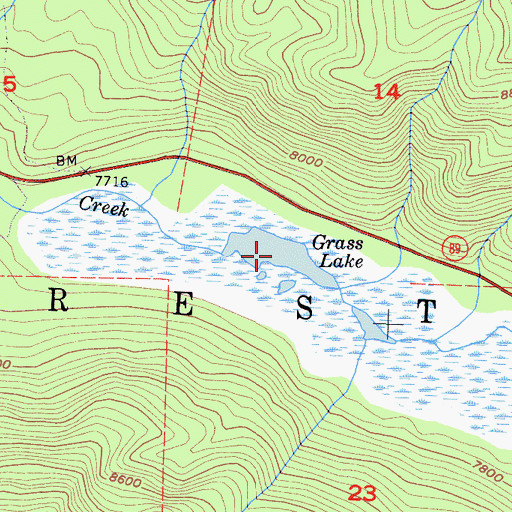 Topographic Map of Grass Lake, CA