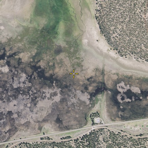 Aerial/Satellite Image of Grass Lake, CA