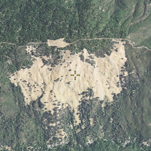 Aerial/Satellite Image of Grassy Patch, CA