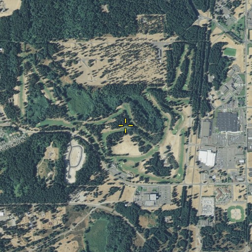 Aerial/Satellite Image of Whispering Firs Golf Course, WA