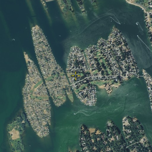 Aerial/Satellite Image of Tapps Island Golf Course, WA