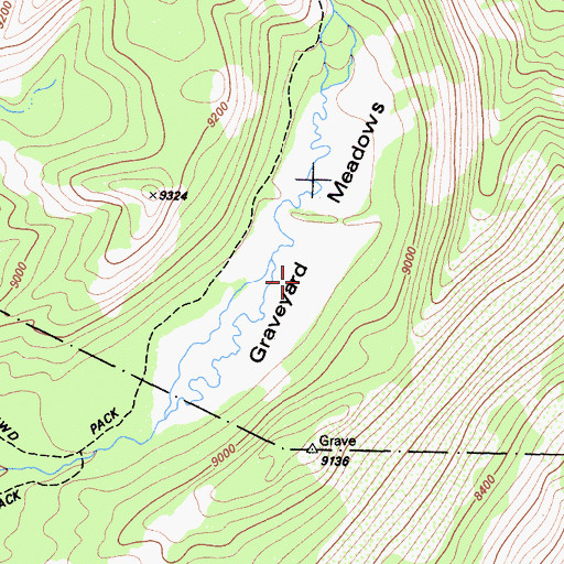 Topographic Map of Graveyard Meadow, CA