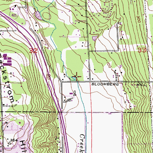 Topographic Map of Evergreen Community Church, WA