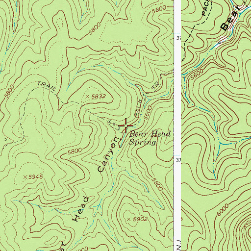 Topographic Map of Bear Head Spring, AZ