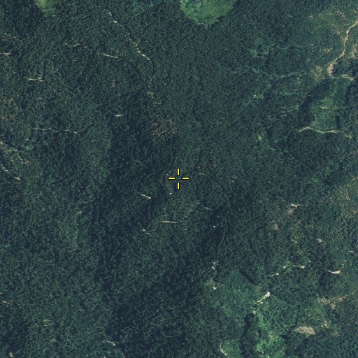 Aerial/Satellite Image of Grouse Spring, CA