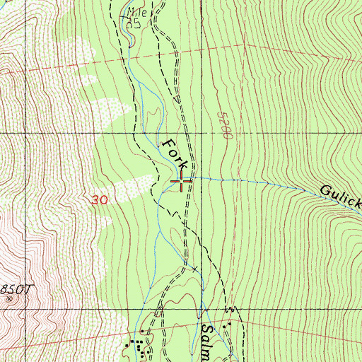 Topographic Map of Gulick Creek, CA