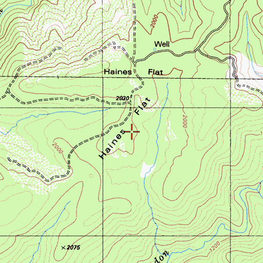 Topographic Map of Haines Flat, CA