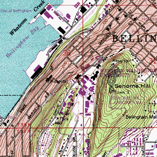 Topographic Map of Western Washington University Wilson Library, WA