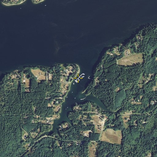 Aerial/Satellite Image of Jarrell's Cove Marina, WA