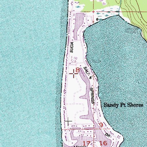 Topographic Map of Sandy Point Marina, WA