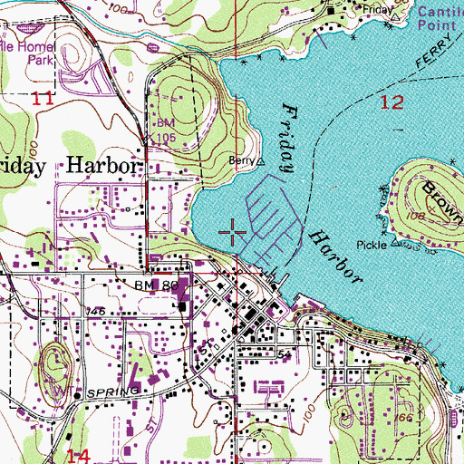 Topographic Map of San Juan Island Yacht Club, WA