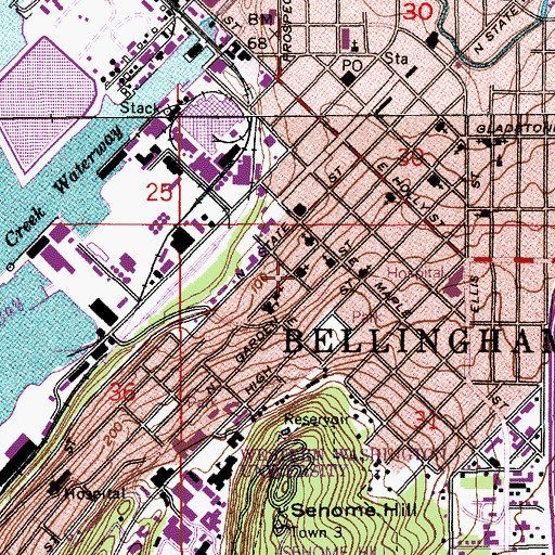 Topographic Map of Whatcom County Forest Street Annex, WA