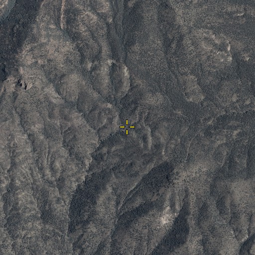 Aerial/Satellite Image of Bear Spring, AZ