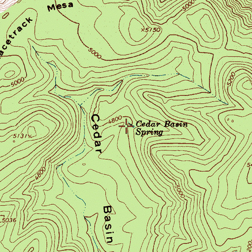 Topographic Map of Cedar Basin Spring, AZ