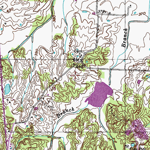 Topographic Map of Palmer Farms, TN