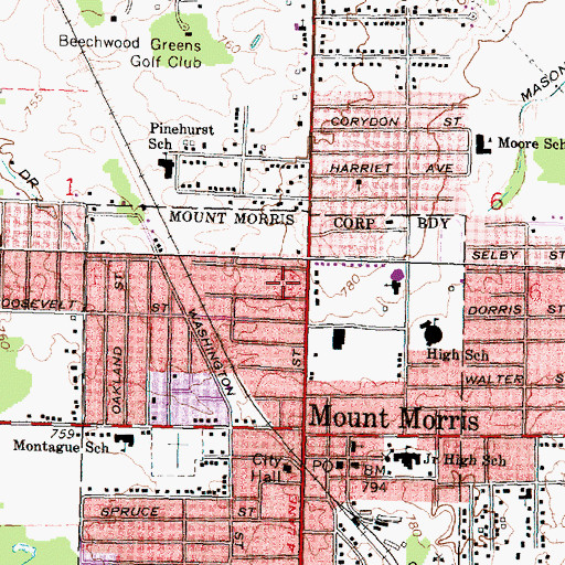 Topographic Map of Mount Morris Library, MI