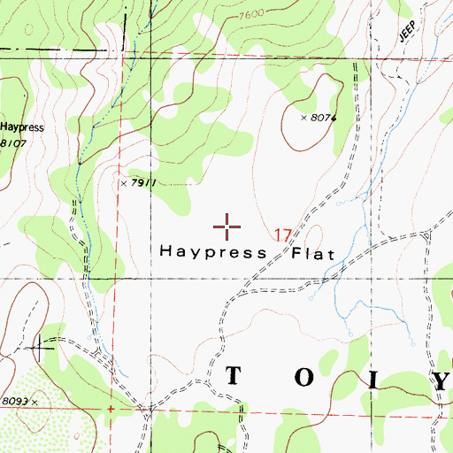 Topographic Map of Haypress Flat, CA