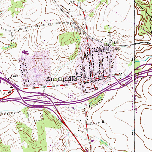 Topographic Map of Annandale Hose Company 1 Station 1, NJ