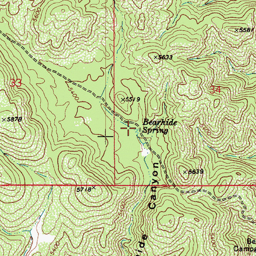 Topographic Map of Bearhide Spring, AZ