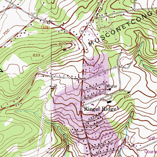 Topographic Map of Holland Township Volunteer Fire Company, NJ