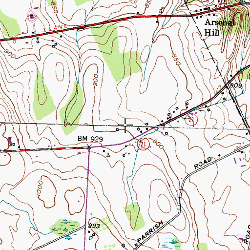 Topographic Map of Horizons Assisted Living Center, NY