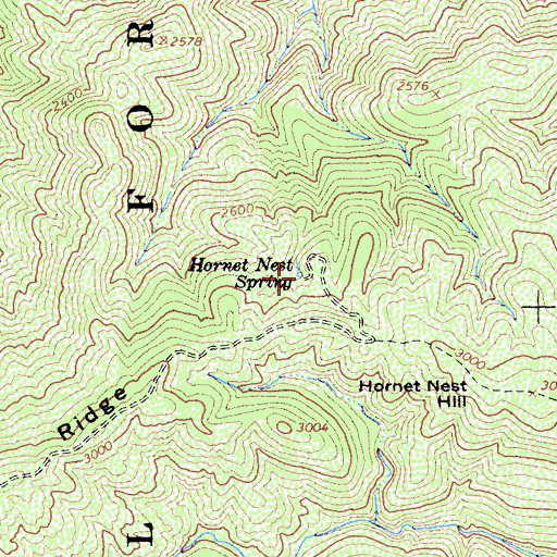 Topographic Map of Hornet Nest Spring, CA