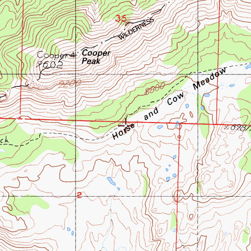 Topographic Map of Horse and Cow Meadow, CA