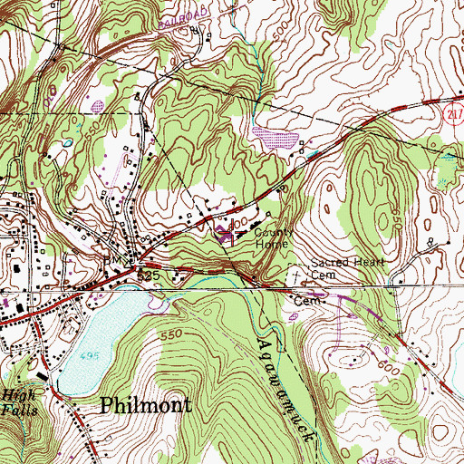 Topographic Map of Pine Haven Nursing Home, NY