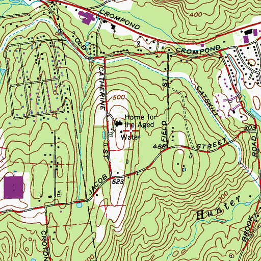 Topographic Map of The Seabury at Fieldhome Assisted Living Facility, NY