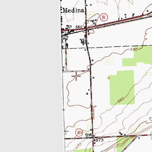 Topographic Map of Willows Adult Home, NY