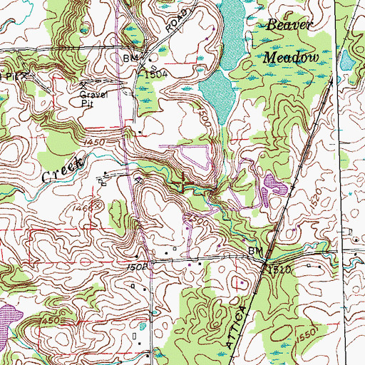 Topographic Map of Beaver Meadow Family Campground, NY