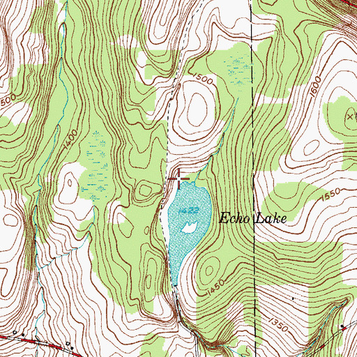 Topographic Map of The New Echo Lake Resort, NY