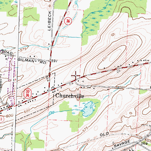 Topographic Map of Riga Senior Center, NY