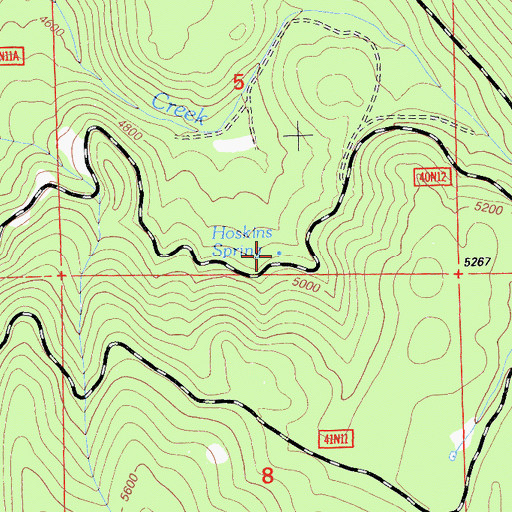 Topographic Map of Hoskins Spring, CA
