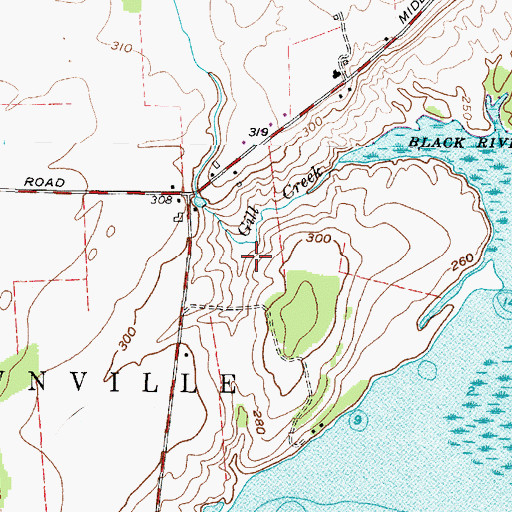 Topographic Map of Rustic Golf and Country Club, NY