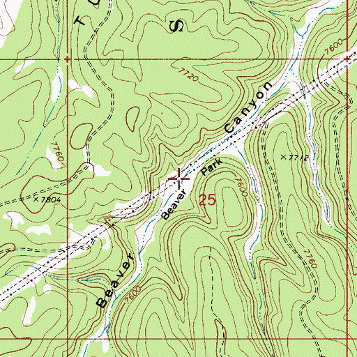 Topographic Map of Beaver Park, AZ