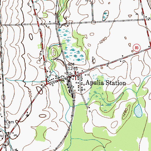 Topographic Map of Apulia United Methodist Church, NY