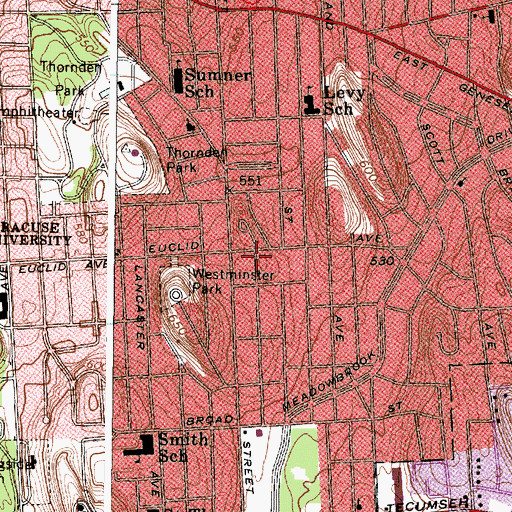 Topographic Map of Erwin First United Methodist Church, NY