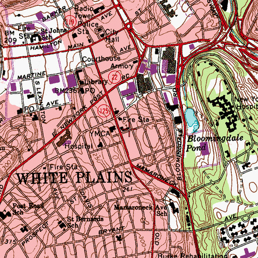 Topographic Map of Saint Matthews Lutheran Church, NY
