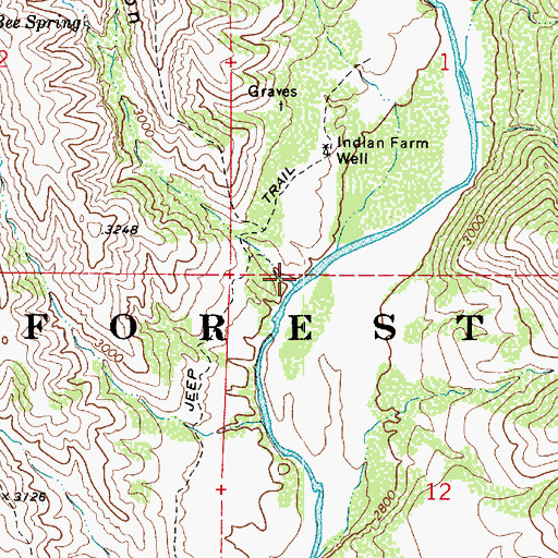 Topographic Map of Bee Canyon, AZ