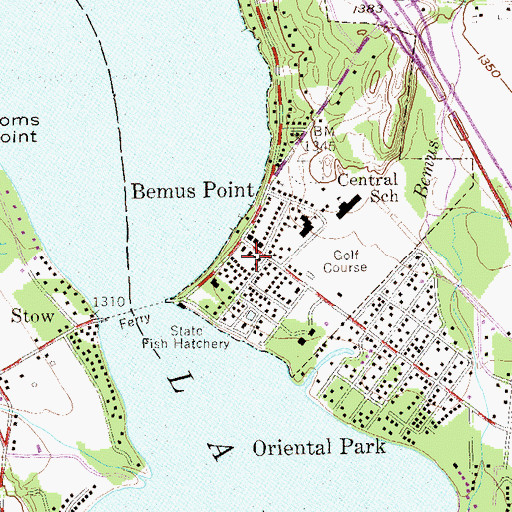 Topographic Map of Bemus Point Public Library, NY