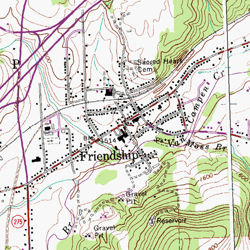 Topographic Map of Friendship Free Library, NY