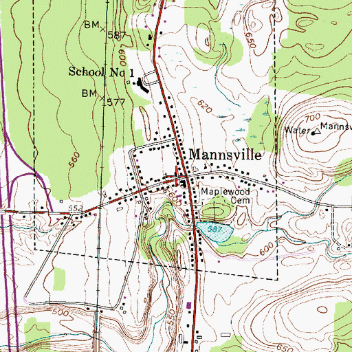 Topographic Map of Mannsville Free Library, NY