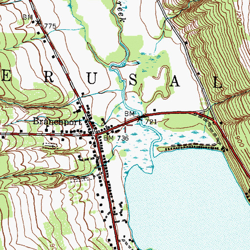 Topographic Map of Modeste Bedient Memorial Library, NY