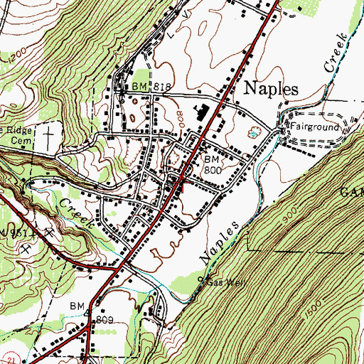 Topographic Map of Naples Library, NY