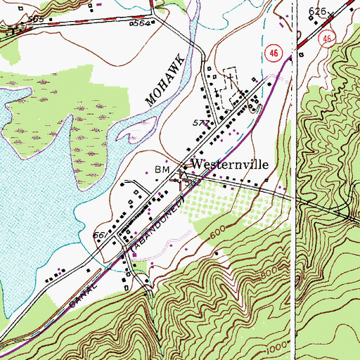 Topographic Map of Western Town Library, NY